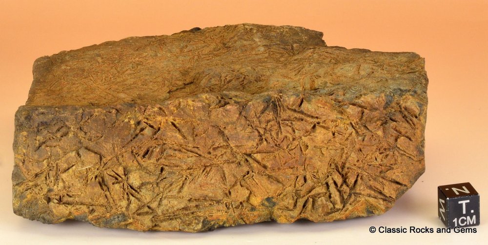 Komatiite Rough Ultramafic Volcanic Rock Acicular Spinifex Komatiit Roh