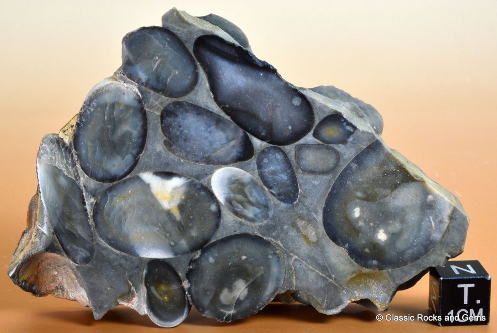 Pudding stone conglomerate rock Slice polished 2 sides Hertfordshire 8cm 114gr eBay