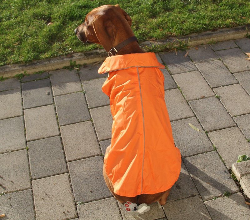 Hundemantel Regenmantel Hund Hundebekleidung Hundejacke Wintermantel