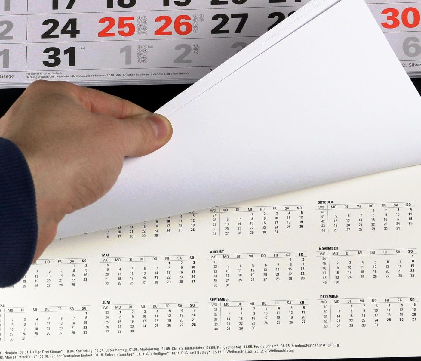 3-Monatskalender 2021  großer Wandkalender Bürokalender Monatskalender Kalender
