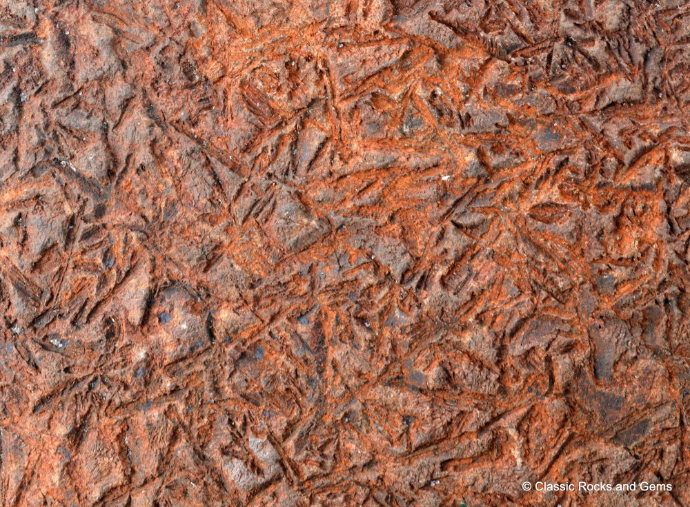 Komatiite Rough Ultramafic Volcanic Rock Acicular Spinifex Komatiit Roh ...