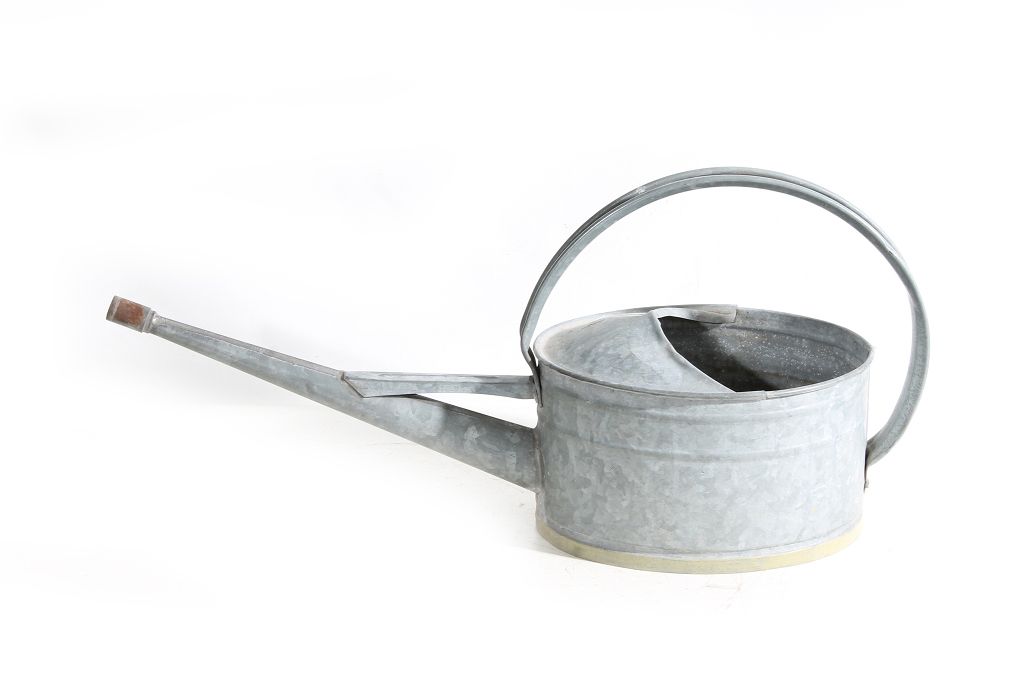 alte Gießkanne Rosenkanne vintage kanne Garten Deko Pflanzschale