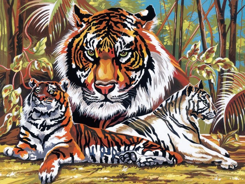 Malen nach Zahlen Tiger Tigerfamilie Afrika Größe 30 cm x