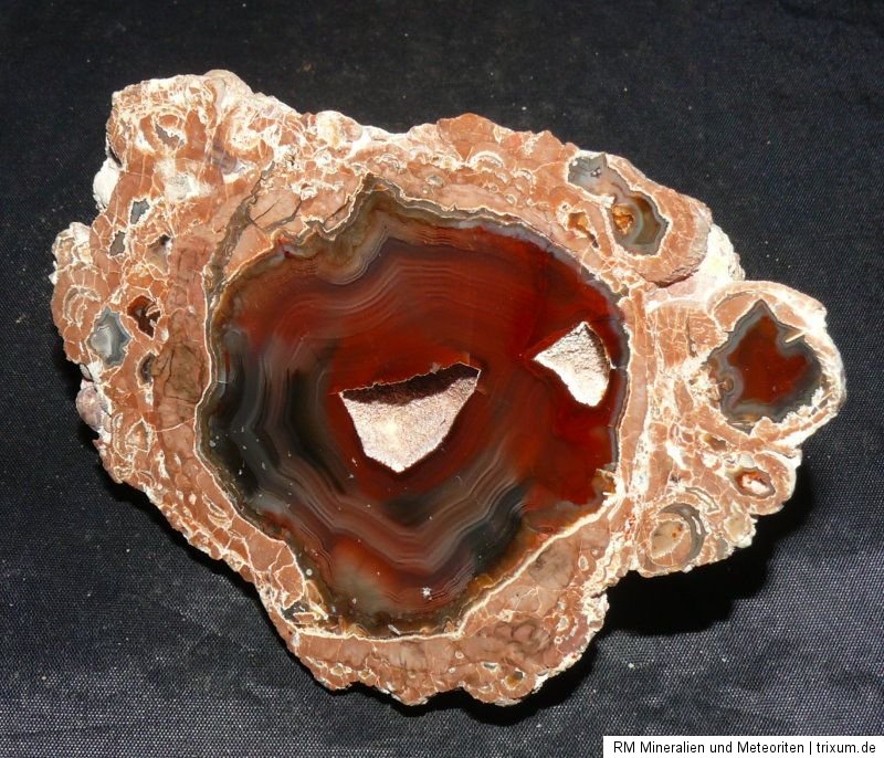 Wunderschönes Thunderegg, Achat 202g 90x74x44mm, Bakers Ranch, New