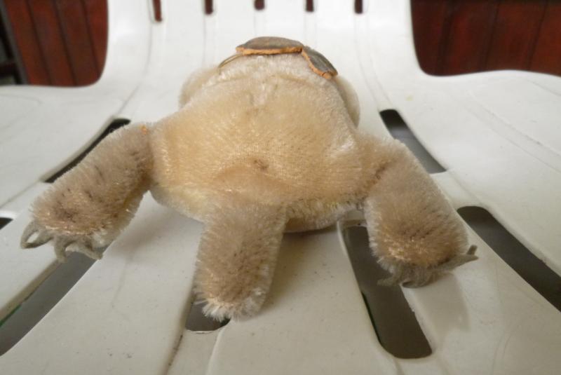 kleine Schildkröte turtle slo Steiff, ohne Panzer, beschädigt eBay kleine Schildkröte turtle slo Steiff, ohne Panzer, beschädigt eBay