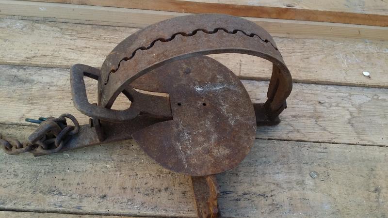 alte Bärenfalle Tellereisen Fangeisen Tierfalle Abzugseisen Falle Deko 30cm | eBay