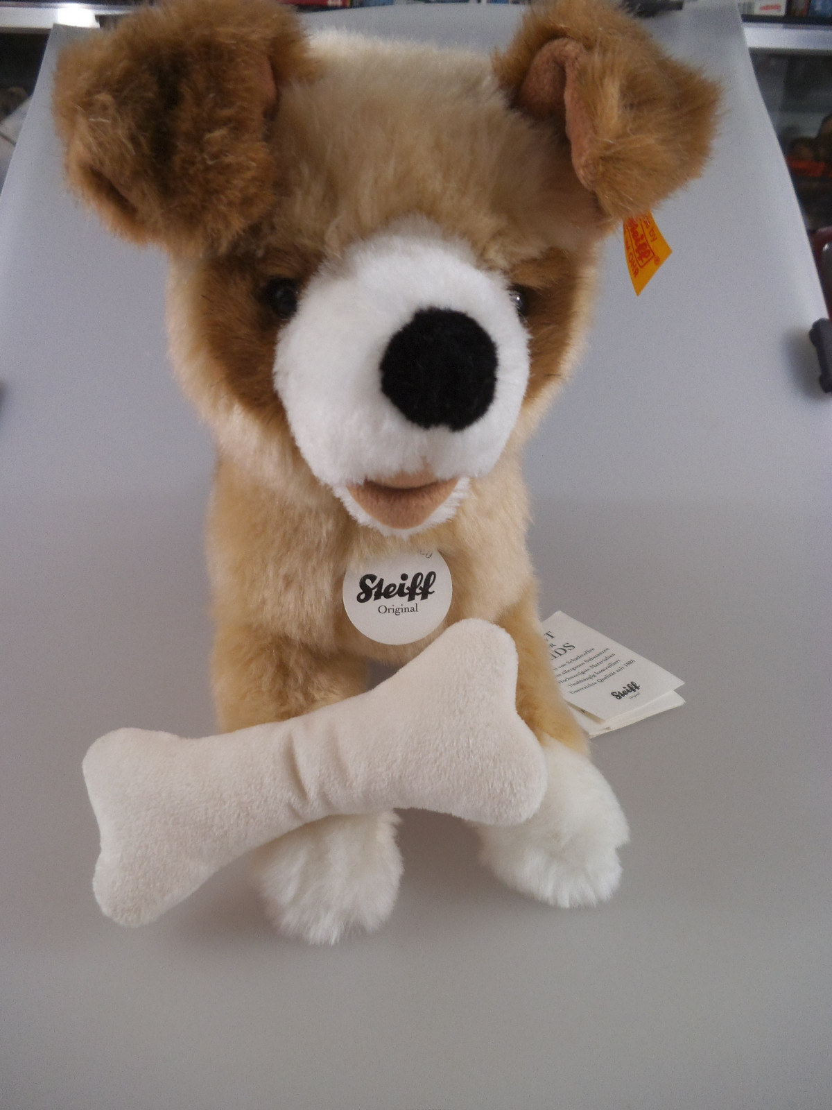 9570c603-a661-4842-b809-